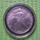 1993 American Silver Eagle 1 Troy Oz .999 Fine Silver Liberty in Capsule