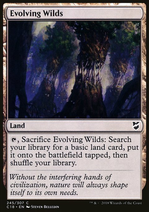 Magic the Gathering MTG Evolving Wilds (245) Commander 2018   LP