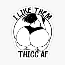 Funny Laptop Sticker I Like Em Thicc Thick Skateboard Welding Bumper Car Truck