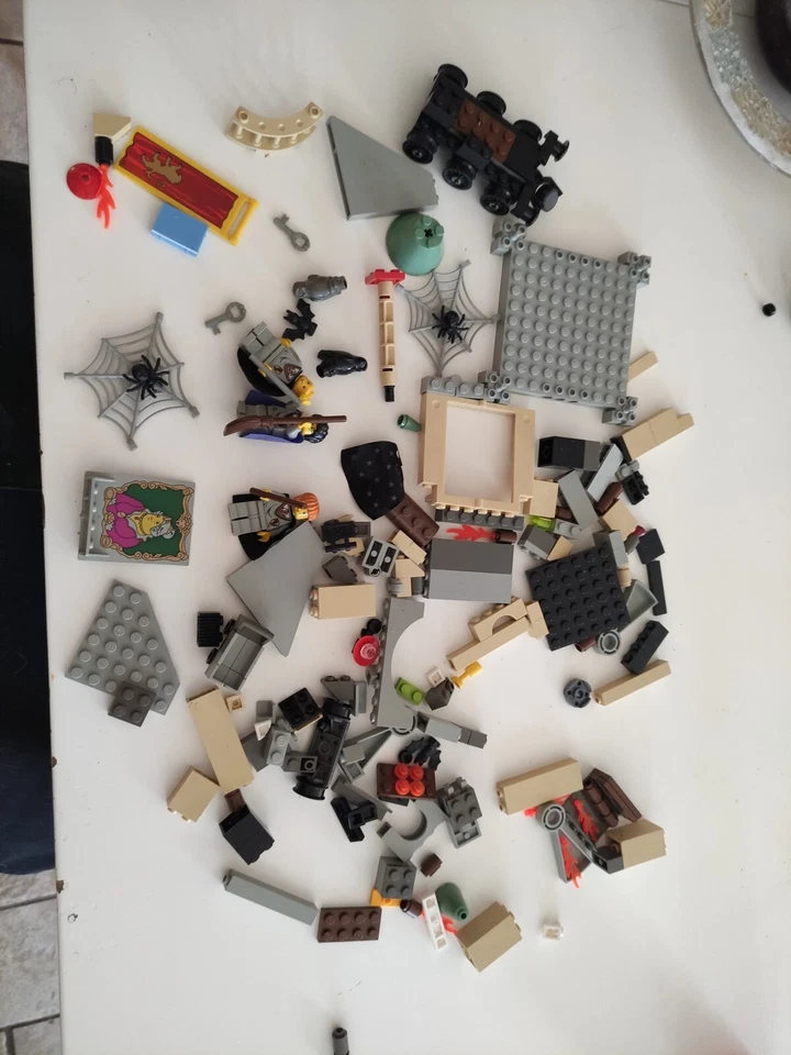 LEGO Harry Potter 4706 Forbidden Corridor, photo 1 sur 5