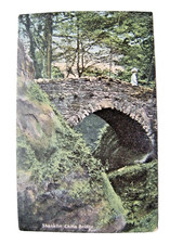 Postcard. Shankiln Chine Bridge. Isle of Wight. Unused. VG.