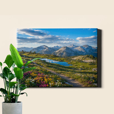 Alpine Meadow Wildflower Mountain View Framed Canvas Print 30x20inch
