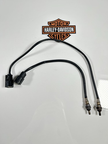 18-22 Harley-Davidson Sportster XL1200/883 Oxygen Sensor 2Pcs OEM