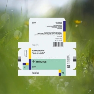 Spiritualized Everything Was Beautiful (Schallplatte) 12'' Album