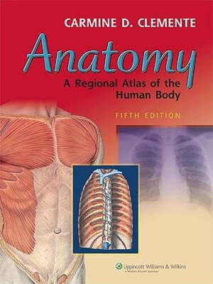 #ad Anatomy: A Regional Atlas of the Human Body ANATOMY REGIONAL ATLAS VERY GOOD $7.77
