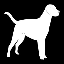 Labrador Retriever Dog Det Decal Sticker White Die Cut Vinyl