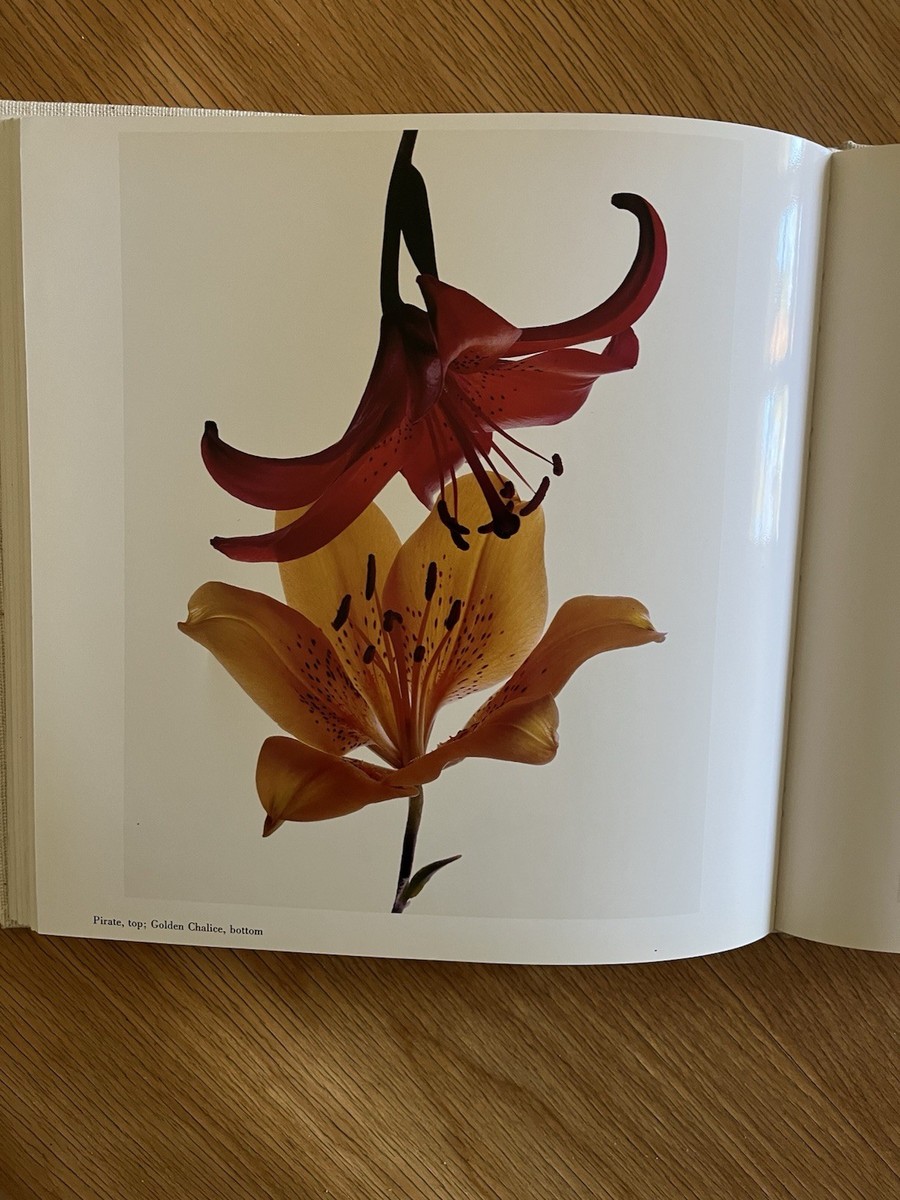 洋書 写真集 Irving Penn「FLOWERS 」HARMONYBOOKS Irving Penn, Flowers (9) – Leica Store San Francisco