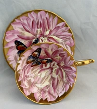 Rare Pink Aynsley Chrysanthemum Butterfly Teacup & Saucer Detailed Saucer & Cup