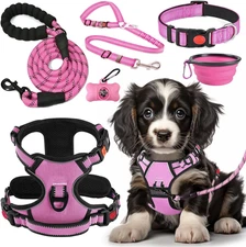 No Pull Dog Harness, Collar & Leash Set | Includes Dog Seat Belt, Collapsible Bo