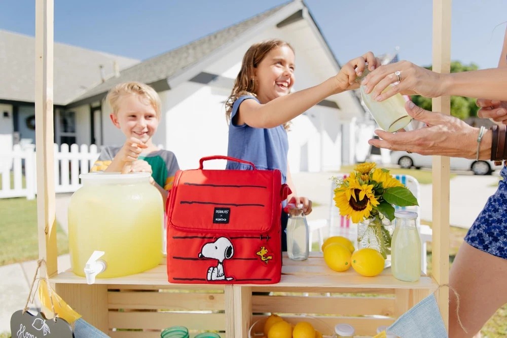Snoopy's House 16-Can Lunch Pail | eBay
