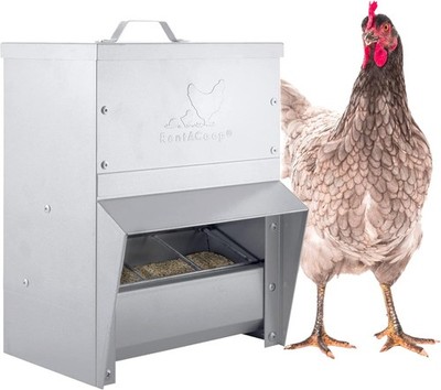 Trough Feeder with Lid - Outdoor Use, Rainproof - Suitable for Chicken,
