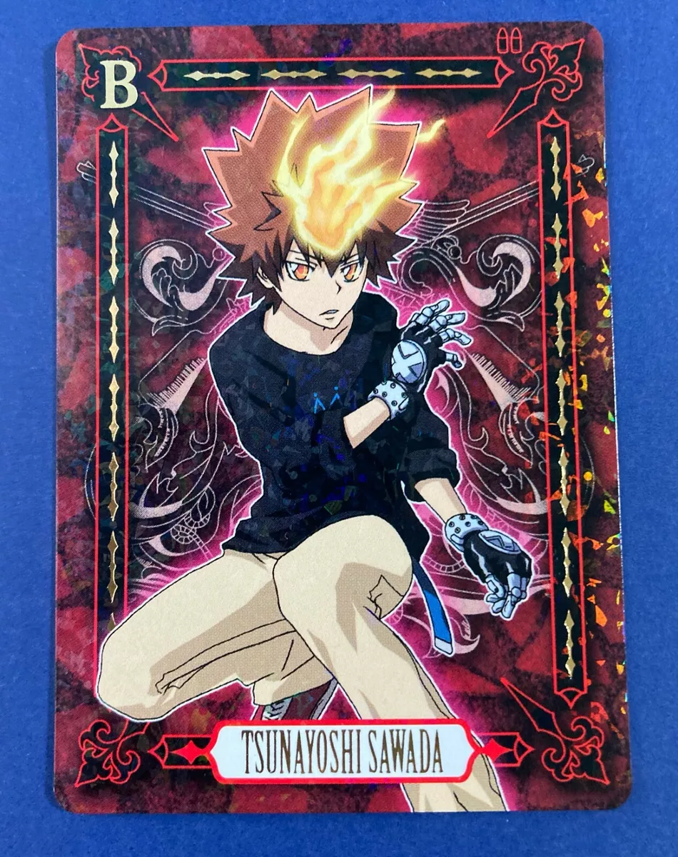 Katekyo Hitman Reborn ! Chrome card Japanese Anime Very Rare F/S