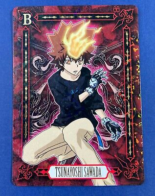 Katekyo Hitman Reborn! Microfiber Reborn & Tsunayoshi Sawada