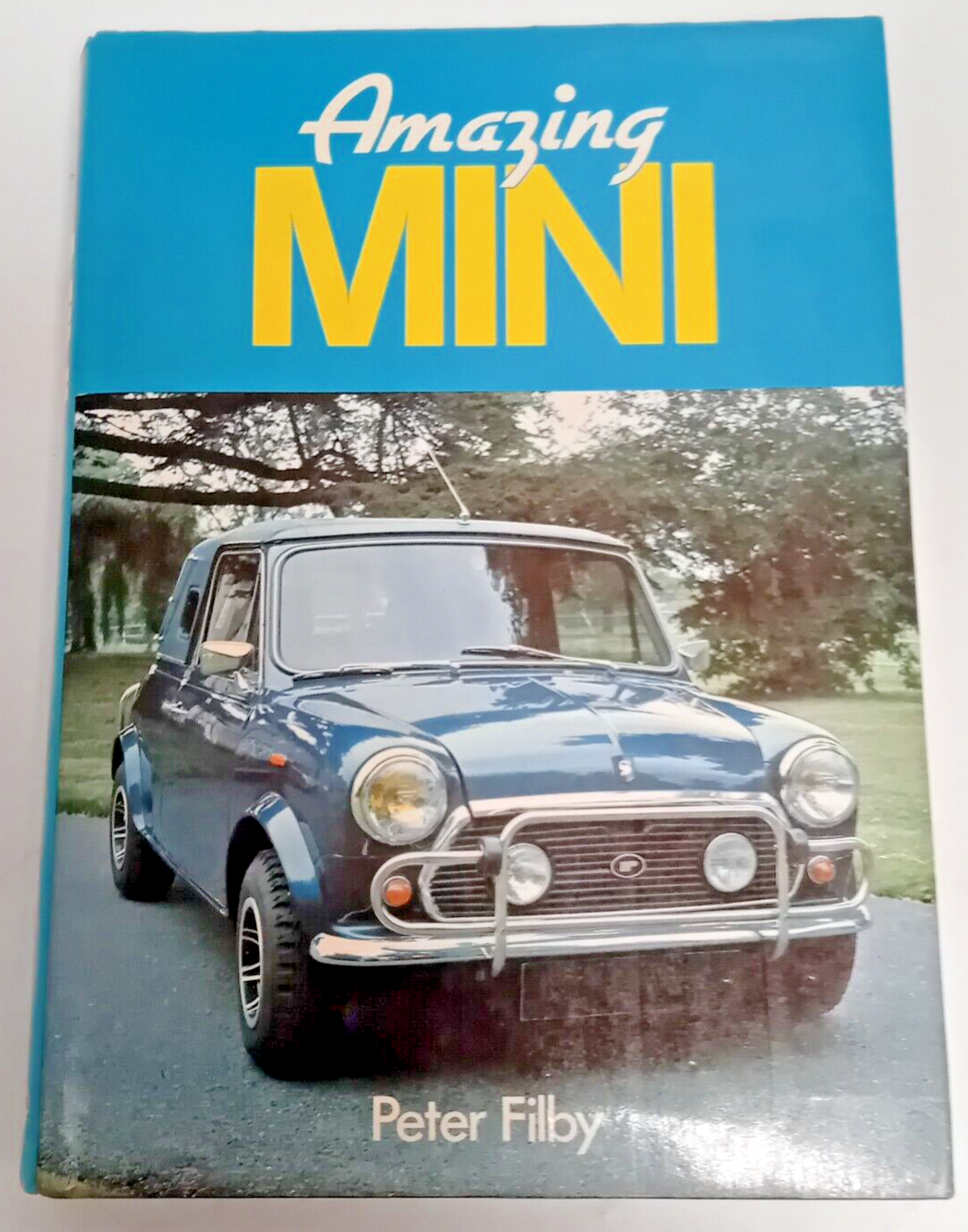 Amazing Mini by Peter J. Filby (Hardcover, 1981)