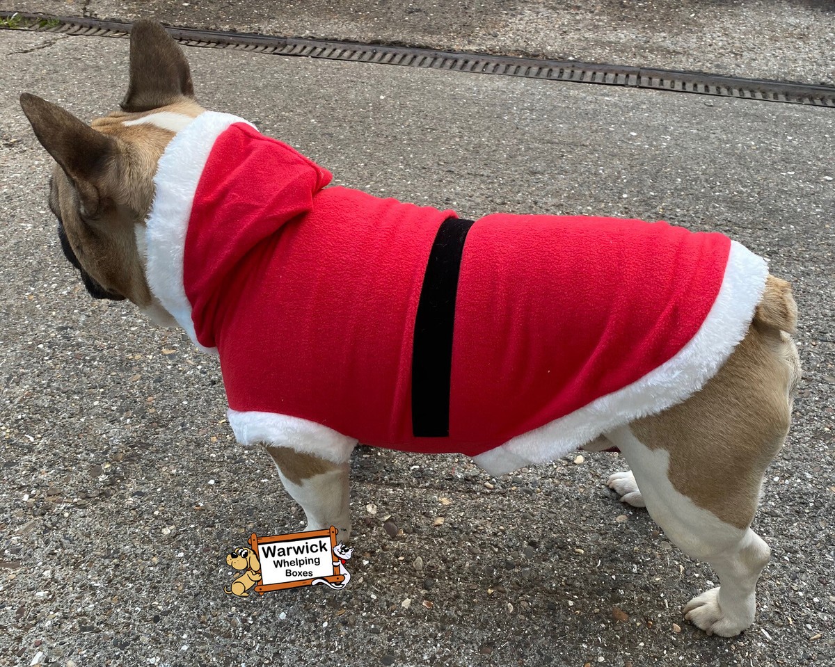 Christmas Dog Jumper Santa Size is Medium 45cm Back Length french bulldog