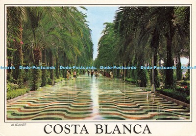 D211767 Alicante Costa Blanca Comercial Editions Trama 4 Quatre