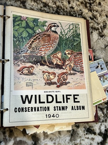 National Wildlife Federation Conservation Stamp Album 1939-1947 Antique Animals - Picture 4 of 9