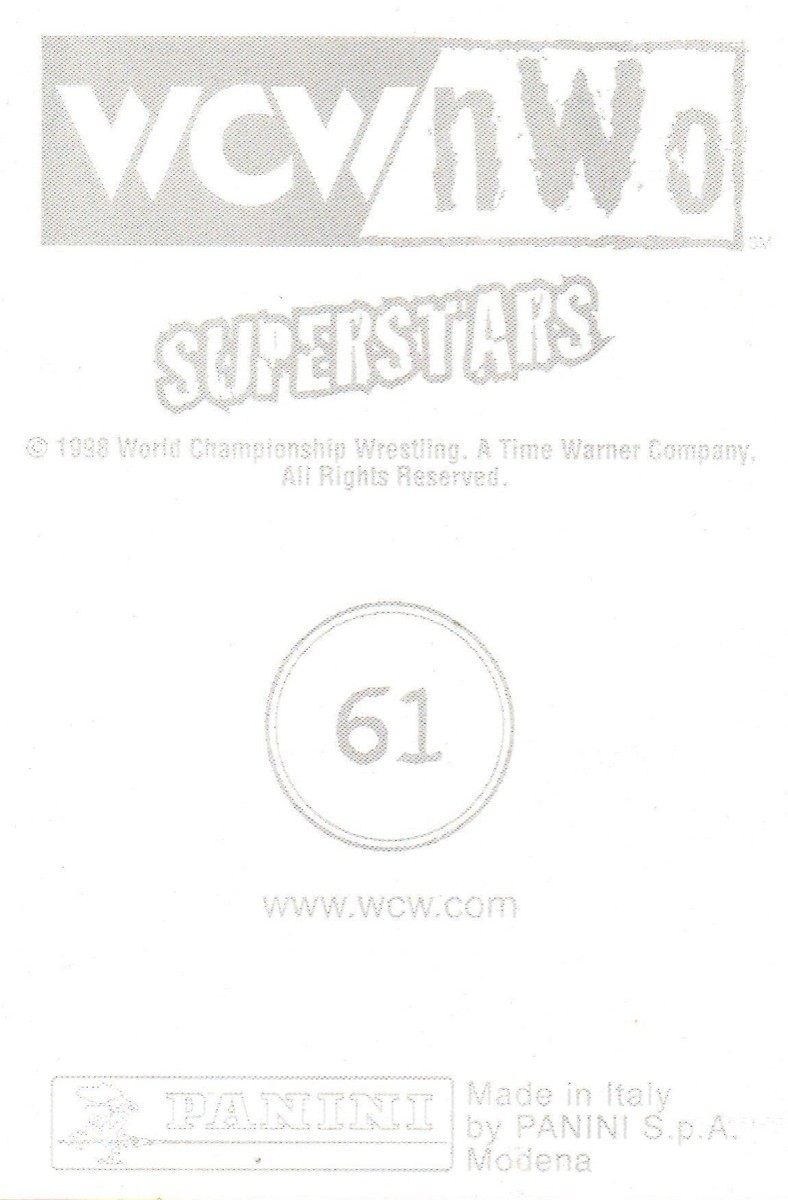 Rick Steiner Official WCW 4x6 Photo Card New Wrestler Wrestling
