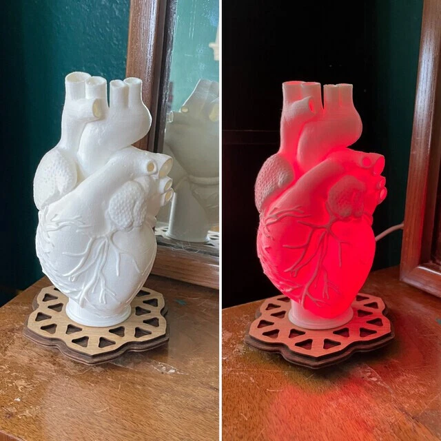 Lámpara de acento impresa en 3D corazón humano - luz LED - base de madera real - cuerpo de anatomía Foto 4 de 4