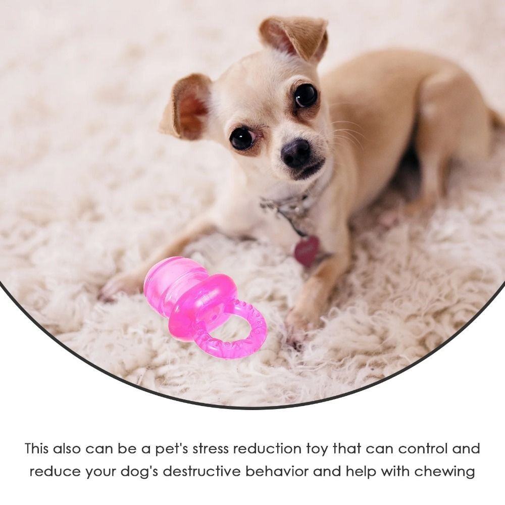 Elastic Pet TPR Pacifier Soft Pet Calming Pacifier Relieve Anxiety eBay