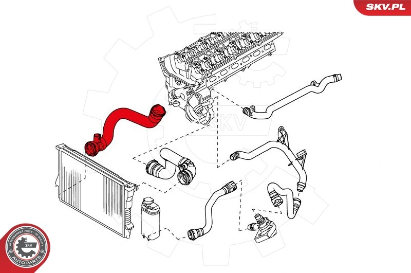 Für SKV GERMANY 24SKV273 RADIATOR HOSE 24SKV273 / #289 BMW X5, 11537508688