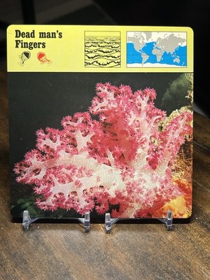 Dead man's Fingers, 1977 Editions Recontre 4 3/4'' x 4 3/4'' Card