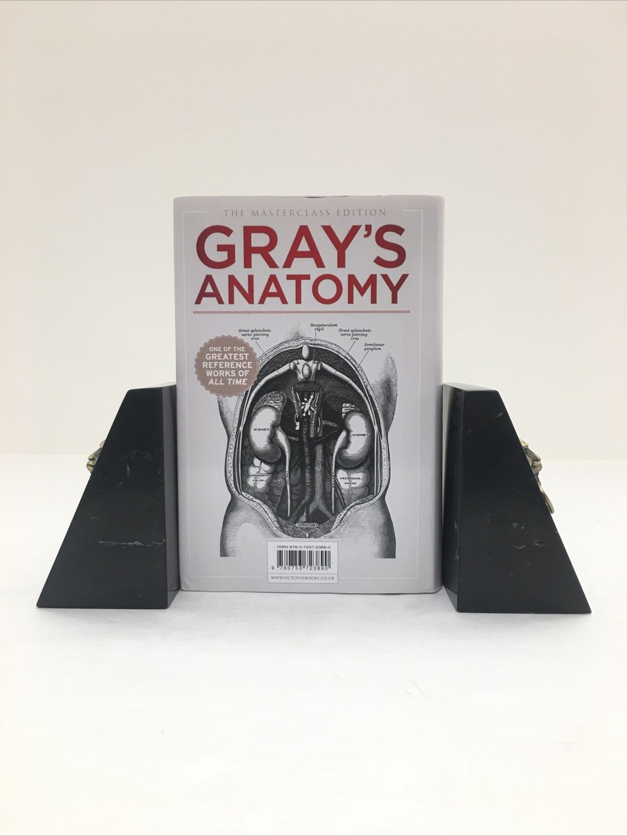 GRAY'S ANATOMY The Masterclass Edition By Henry Gray - Hardcover