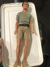 Butterfly art Ken doll with hair and outfit