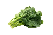 KAI LANS Asian Chinese Broccoli Kale Seeds, Gai Lan Heirloom, Shipped with
