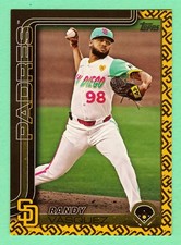 2025 Topps 456 Randy Vasquez Team Color Border Variation Padres Case Hit SP 