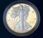 2020 W  Proof Silver Eagle COA and Box