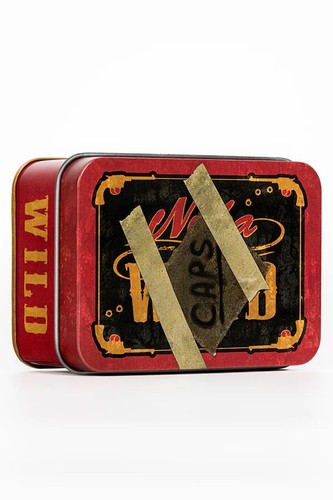 Fallout Bethesda Authentic Licensed Nuka Cola WILD Bottle Caps Stash 20x New - Picture 7 of 9