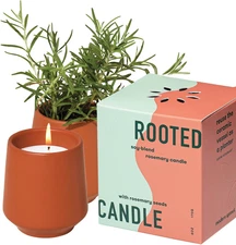 Rooted Candle - 2 in 1 Cucumber Scented & Soy Candle with Seeds That Grows into 