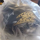 Jacksonville Jaguars Original Football Helmet Autographed by Mark Brunell
