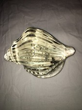 Crystal Glass Conch Sea Shell Paperweight Bubbles 4.2" Long