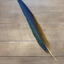 "Cola de pluma de guacamayo azul y dorado 15 1/4"" peyote pesca artesanal"