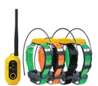 Dogtra PATHFINDER2 GPS 4 Dog Tracking &Training, E-Fence & LED Beacon Light