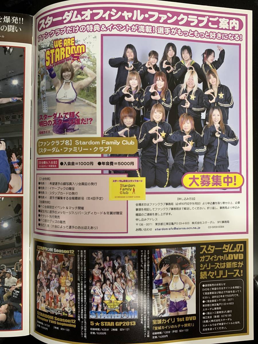 Stardom Pamphlet Vol.41 Women 