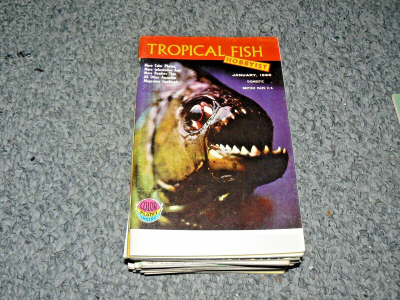 8  Tropical Fish Hobbyist     JANUARY 1966 and 7 other issue Vintage