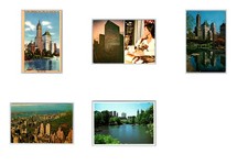 Lot of 5 Vintage Central Park Postcards York City Lake Sherry Netherlands Savoy