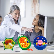 Animal and Plant Cell Anatomy Model Teaching Tool For Biology Study Science Labs