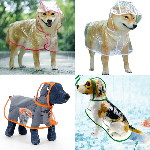 american airlines rules for pets