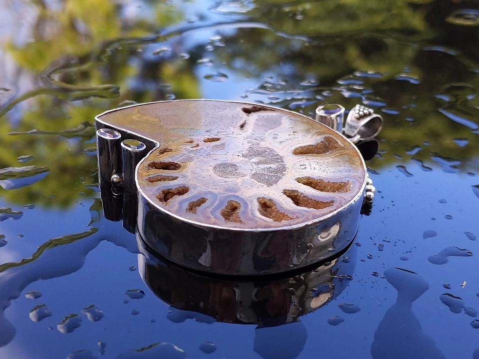 Colgante extra grande fósil de amonita de plata de ley marrón rojo corte granates Foto 4 de 4