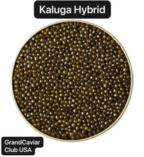Kaluga Hybrid 50 Gram Black Caviar In Sealed Tin Classic Choice 24-48hr Air Ship