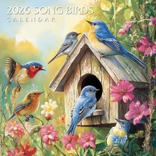 2026 Song Birds Calendar | 12 x 12 |