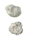 Cretaceous fossil pine cone replaced w/ opal 10.85g colour Australia display #10