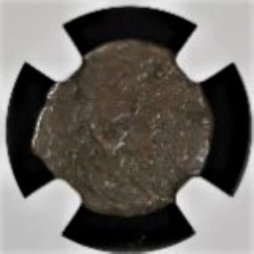 Ancient Coin - Valerius Gratus, Roman Prefect of Judaea, 15-26 CE (NGC Slab) - Image 4 of 4