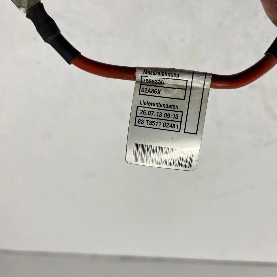 Cable adaptador módulo batería BMW 535i xDrive 2010-2016 OEM Foto 4 de 4