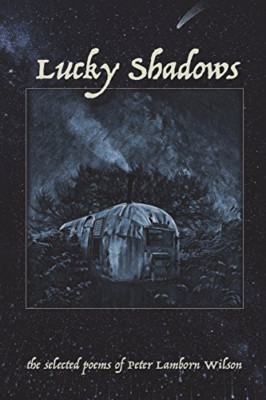 Lucky Shadows - Taschenbuch NEU Wilson, Peter L 26.06.2018