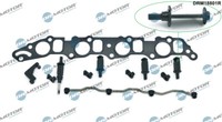 DRM18801R Dr.Motor Automotive Reparatursatz, Saugrohrmodul FüR Alfa Romeo,Fiat,O